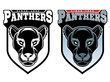 Mascot Panthers.