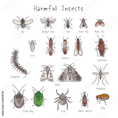 いろいろな害虫 水彩風手書きイラスト Stock ベクター Adobe Stock
