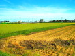 © smtd3 - 刈田と田圃風景