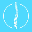 Spine human graphic icon. Spinal column sign in the circle isolated on white background. Logo. Vector illustration 