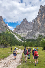 Wall Mural - people are walking on a hiking trail to the mountains in a beautiful alpine landscape