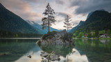 Fototapeta  - Drzewa na skale na jeziorze Hintersee