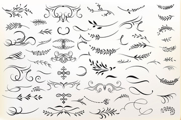 big collection of vector calligraphic flourishes for design