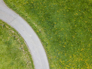 Sticker - Aerial view of road through dandelion field.