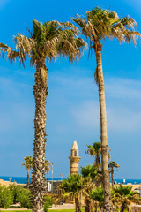 Poster -  Ruins of the port of Caesarea