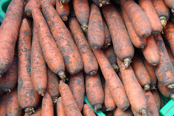 ripe carrot background, carrots are good for health, healthy ripe carrot for preparing meal