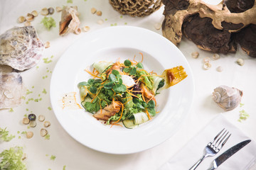 Wall Mural - salad with eel and cucumber on a white plate