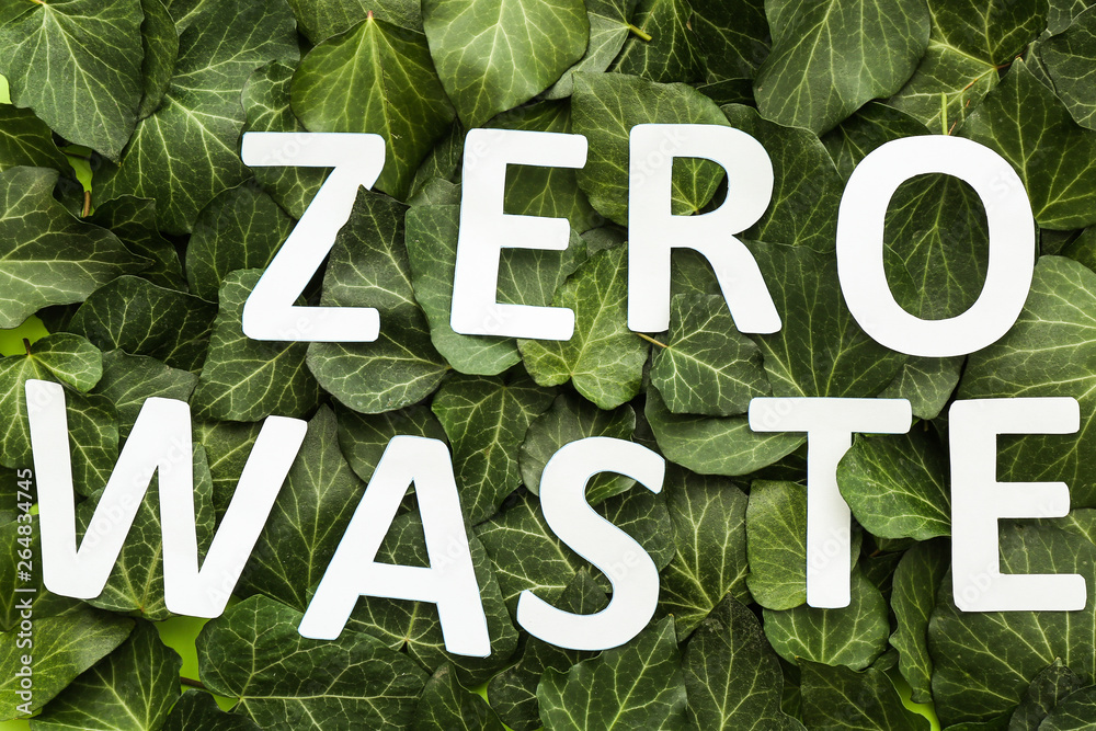 Text ZERO WASTE on green leaves