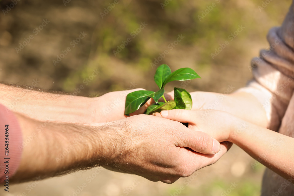 Man and child with young plant outdoors