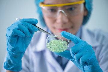 Wall Mural - health care researchers working in life science laboratory. young research scientist preparing and a