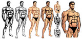 Fototapeta  - Male Bodybuilder Full Body_EPS 10 Vector