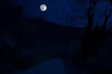 Wall Mural - mountain road through the forest on a full moon night. scenic night landscape of country road at nig