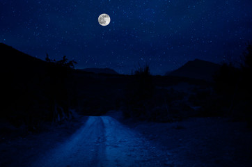 Wall Mural - mountain road through the forest on a full moon night. scenic night landscape of country road at nig