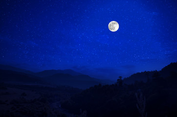 Wall Mural - mountain road through the forest on a full moon night. scenic night landscape of country road at nig