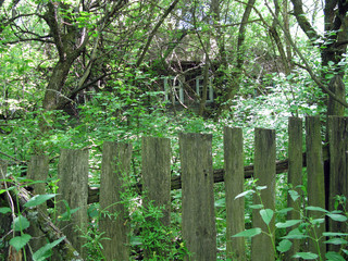 Poster - Chernobyl zone, Ukraine