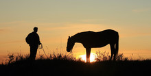 Man And Horse Silhouette In Summer Field In The Early Morning At Sunrise
