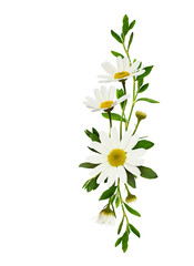 Wall Mural - daisy flowers in a floral arrangement