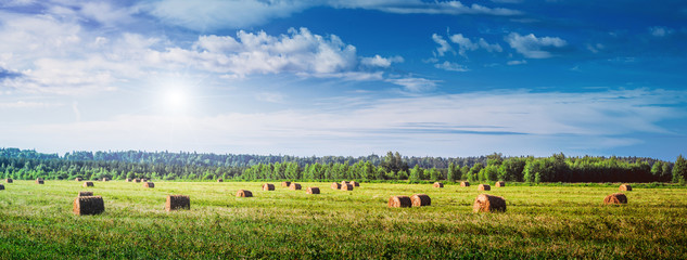 Wall Mural - Rural meadow nature landscape