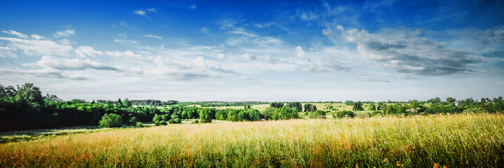 Wall Mural - Rural nature landscape, meadow and forest