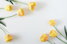 Beautiful Composition Of Spring Flowers. Yellow Tulips Flowers On White Background. Valentine's Day, Easter, Birthday, Happy Women's Day, Mother's Day. Flat Lay, Top View, Copy Space