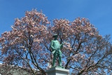 Fototapeta  - Magnolia tree in full bloom behind Morton Grove, Illinois' World War I Doughboy Memorial