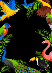  Background with tropical exotic birds.