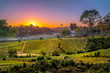 sunset over vinery in Chile for agriculture or vinevard background