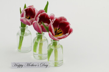 Wall Mural - Happy Mothers day card with three tulips in transparent miniature glass bottles on wooden surface