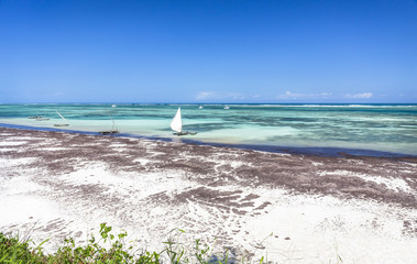 Wall Mural - Amazing Diani beach seascape, Kenya