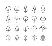 Big Collection Tree. Tree Line Icon. Wood. Plant. Vector Illustration.