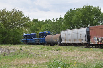 Wall Mural - Train