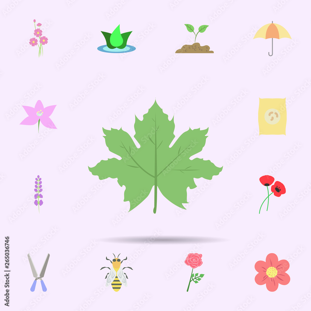 Maple leaf colored icon. Universal set of nature for website design and ...
