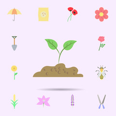 Poster - Sprout colored icon. Universal set of nature for website design and development, app development