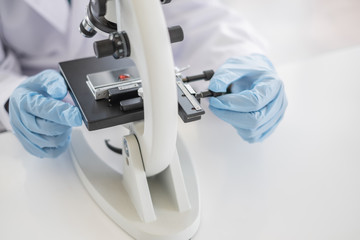 Wall Mural - a scientist hands working in laboratory with test tube microscope and solutions.