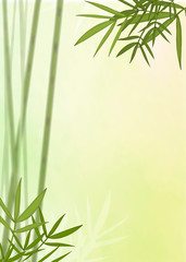 Wall Mural - Bamboo leaf background