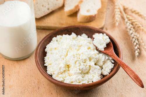 Curd Cheese Cottage Cheese Or Tvorog In Bowl Healthy Dairy