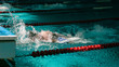 © NCKAHDEP - Crawl race in the Olympic pool