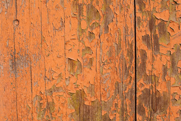 Orange Wooden Background, Wood Texture with paint