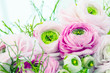 Persian buttercup. Bunch pale pink ranunculus flowers light background. Wallpaper, Horizontal photo .