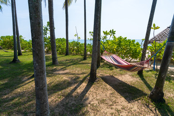 Wall Mural - Tropical beach with hammock under the palm trees in sunlight