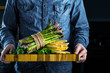 cropped of man holding bunches of green and white tied asparagus.