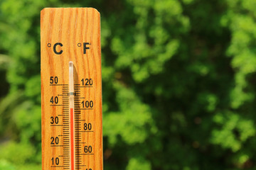 Closeup a wooden thermometer against green foliage showing high temperature