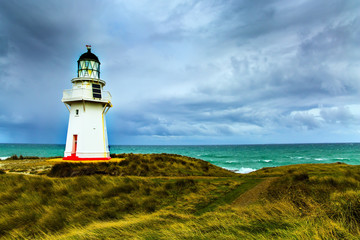 Canvas Print - The trip to New Zealand