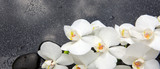 Fototapeta Kwiaty - Spa background with white orchid and stone.
