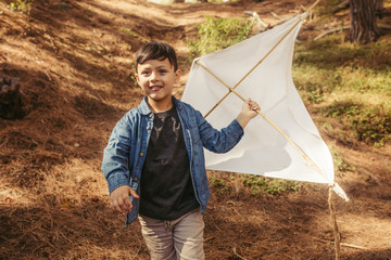 Poster - Boy playing with a kite