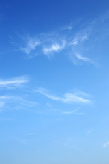 Wall Mural - clear blue sky with white cloud in the morning good weather day