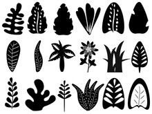 Set Of Tropical Leaves And Plants, Vector