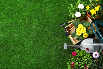 Wall Mural - Flat lay composition with gardening equipment and flowers on green grass, space for text