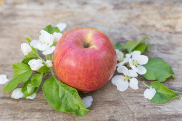 Wall Mural - Fresh sweet juicy red apples with flowers on a wooden background