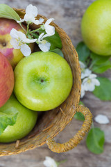 Wall Mural - Fresh sweet juicy red and green apples with flowers on a wooden background